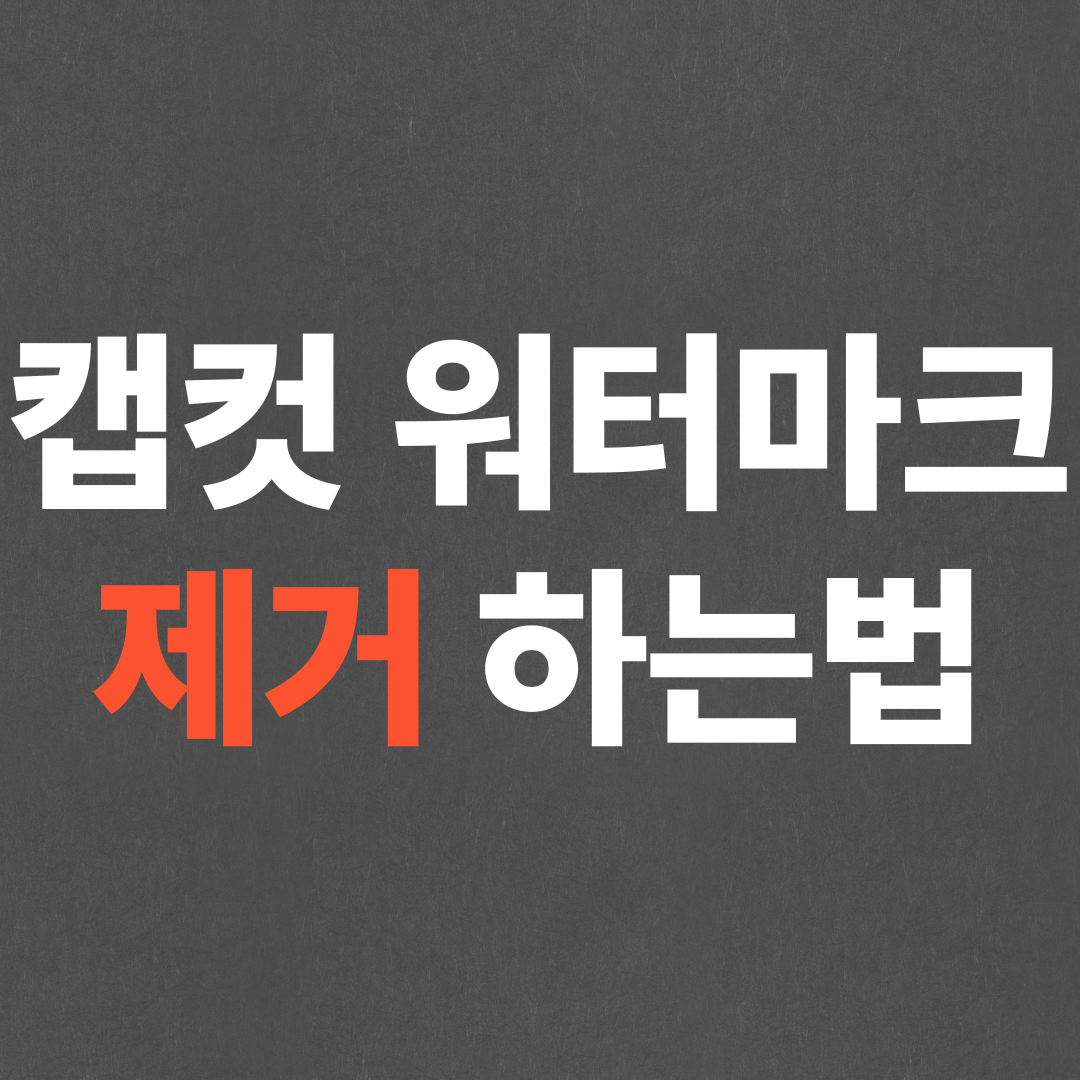 초간단 캡컷 워터마크 지우기, 워터마크 제거 방법
