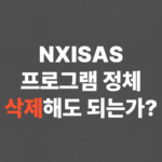 NXISAS 프로그램 정체, 삭제해도 되는가?