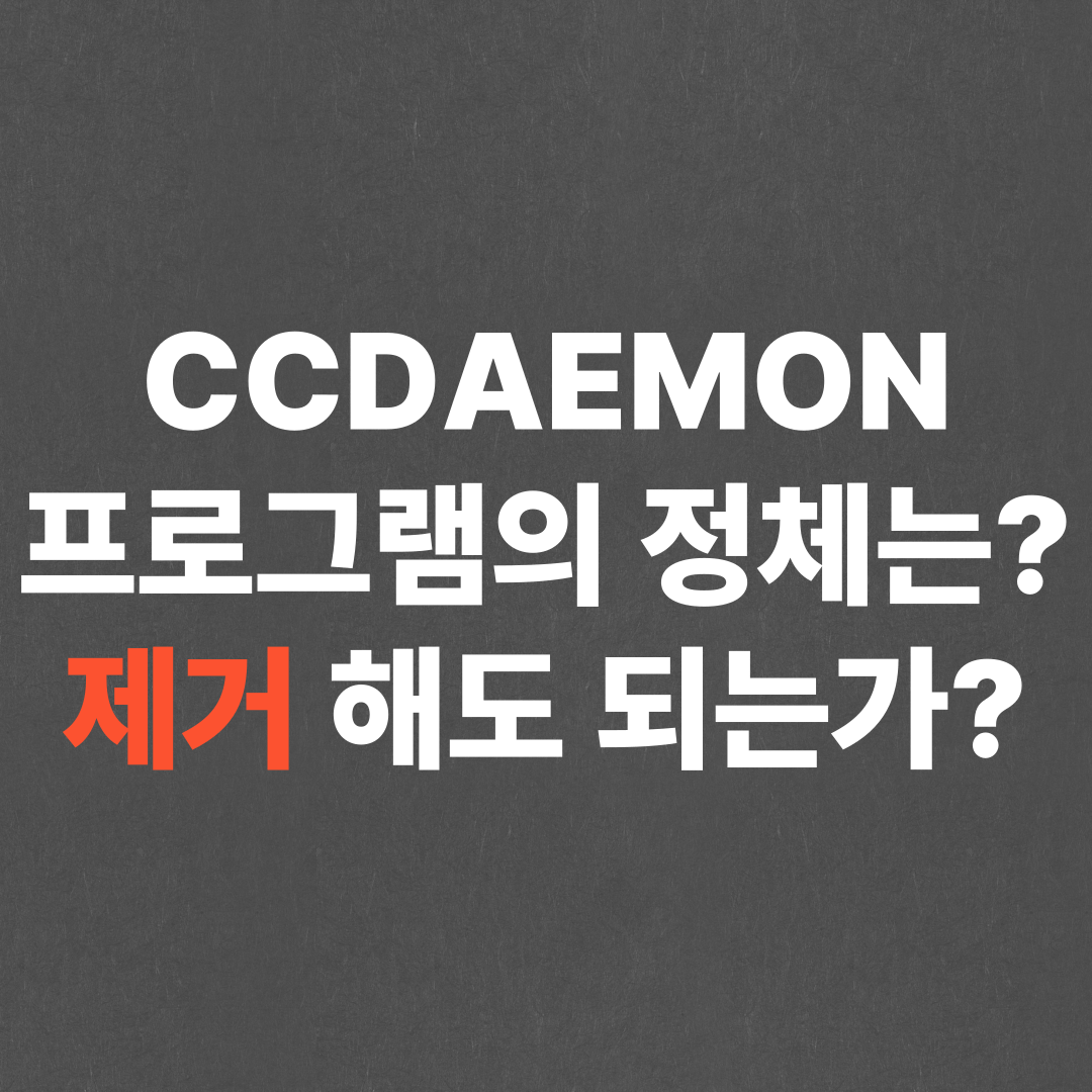 ccdaemon 프로그램 정체, 삭제해도 되는가?