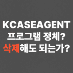 KCASEAGENT 프로그램 정체? 삭제해도 되는가?