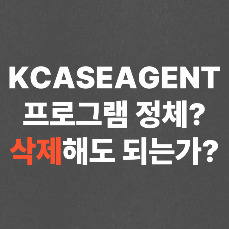 KCASEAGENT 프로그램 정체? 삭제해도 되는가?