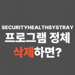 SECURITYHEALTHSYSTRAY 프로그램 정체, 삭제하면?