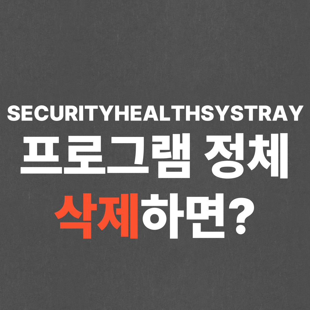 SECURITYHEALTHSYSTRAY 프로그램 정체, 삭제하면?