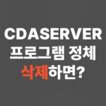 CDASERVER 프로그램 정체, 삭제하면?