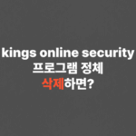 kings online security 프로그램 정체, 삭제하면?