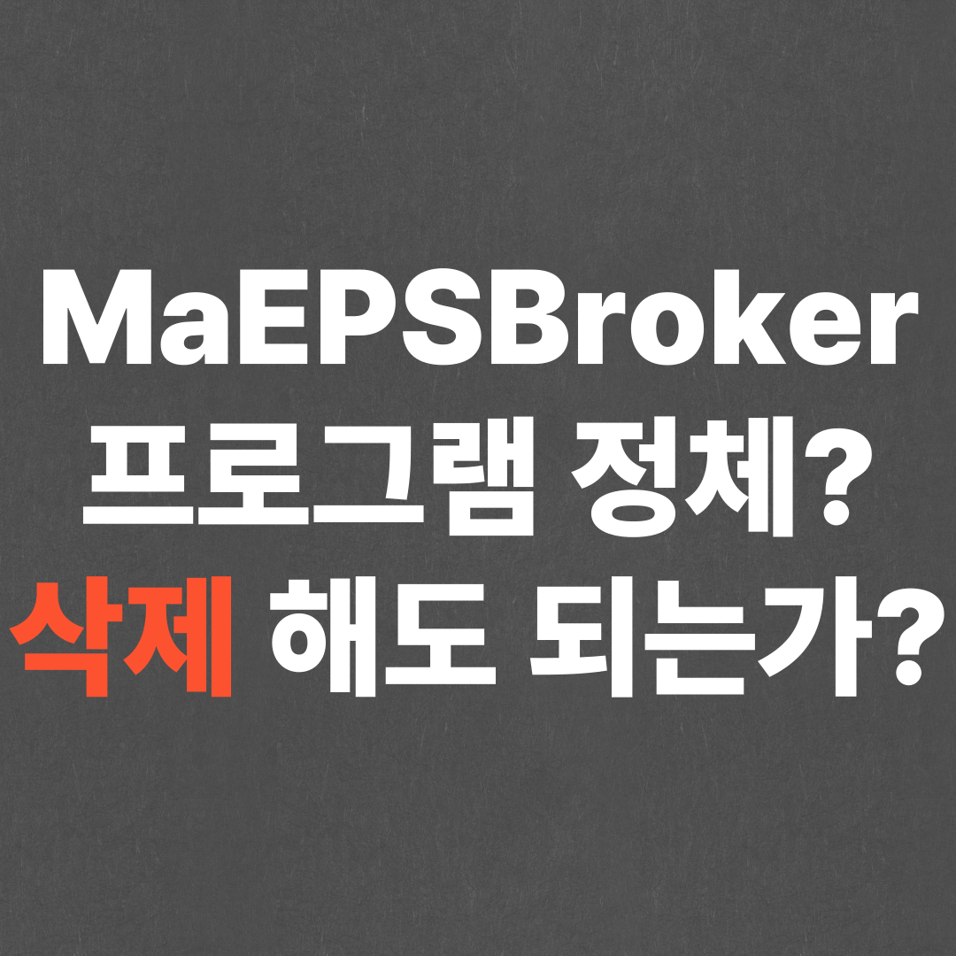 MaEPSBroker 프로그램의 정체는? 삭제해도 될까?