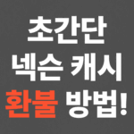 초간단 넥슨 캐시 환불 방법!