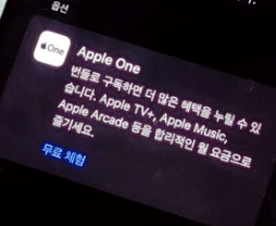 초간단 티빙 연간이용권 환불 방법!!