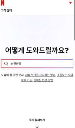 초간단 넷플릭스 연령인증 방법