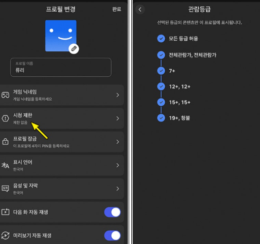 초간단 넷플릭스 연령인증 방법